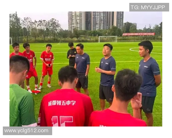 成都足球队的拼搏之路与杯赛荣耀背后的故事