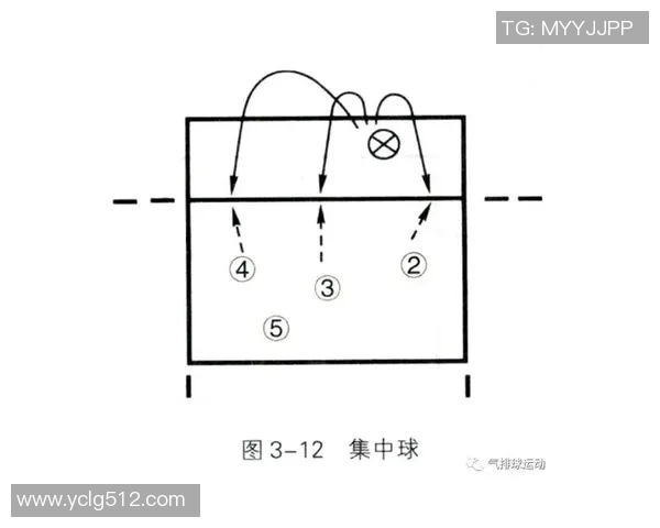 杭州排球队战术表现深度分析与数据解读探讨 杭州排球队战术表现深度分析与数据解读探讨