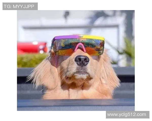 足球明星搞笑睡姿大曝光你绝对想不到他们的睡觉姿势竟然如此搞笑 足球明星搞笑睡姿大曝光你绝对想不到他们的睡觉姿势竟然如此搞笑