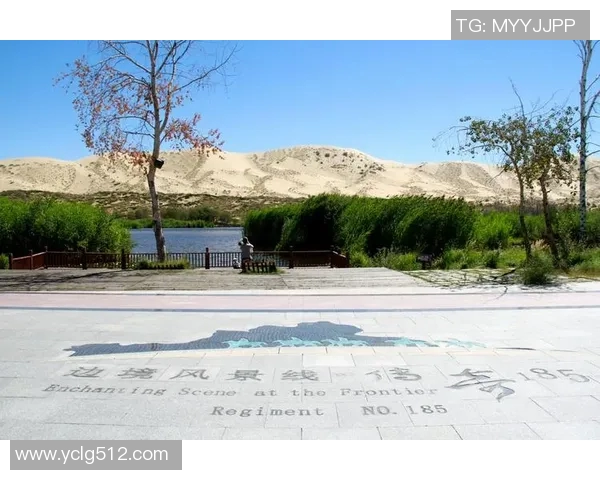 吃伟哥的足球明星背后的秘密与传奇故事揭秘