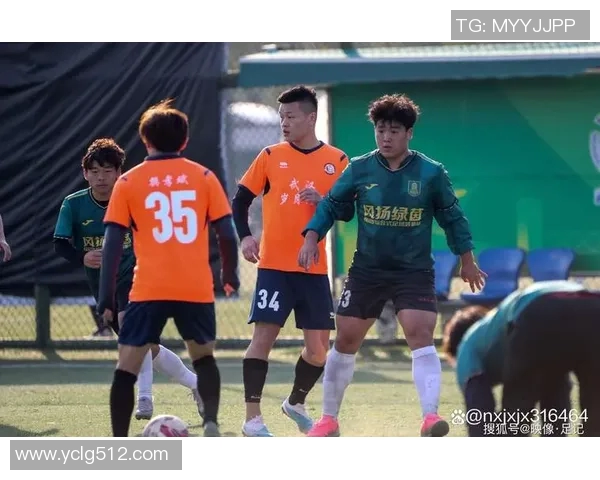 武汉足球队在精英赛中的战术运用与表现分析及未来发展方向探讨