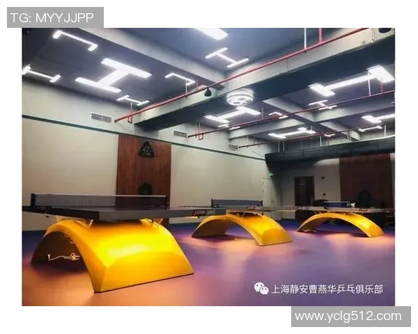 深入探讨上海乒乓球队技术特点与其他队伍的差异分析