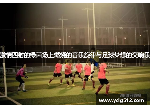 激情四射的绿茵场上燃烧的音乐旋律与足球梦想的交响乐