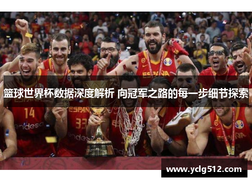 篮球世界杯数据深度解析 向冠军之路的每一步细节探索