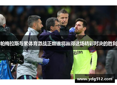 帕梅拉斯与累体育激战正酣谁将赢得这场精彩对决的胜利