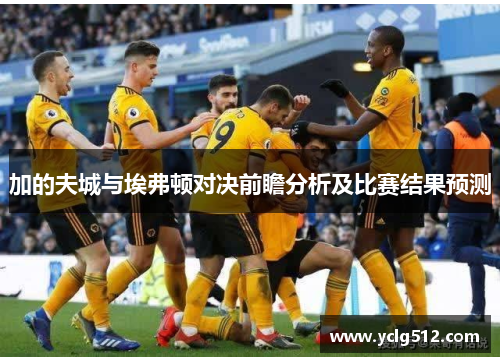 加的夫城与埃弗顿对决前瞻分析及比赛结果预测