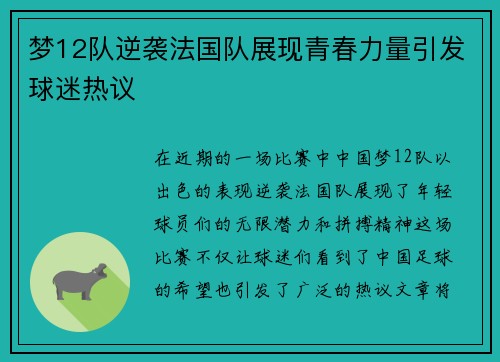 梦12队逆袭法国队展现青春力量引发球迷热议